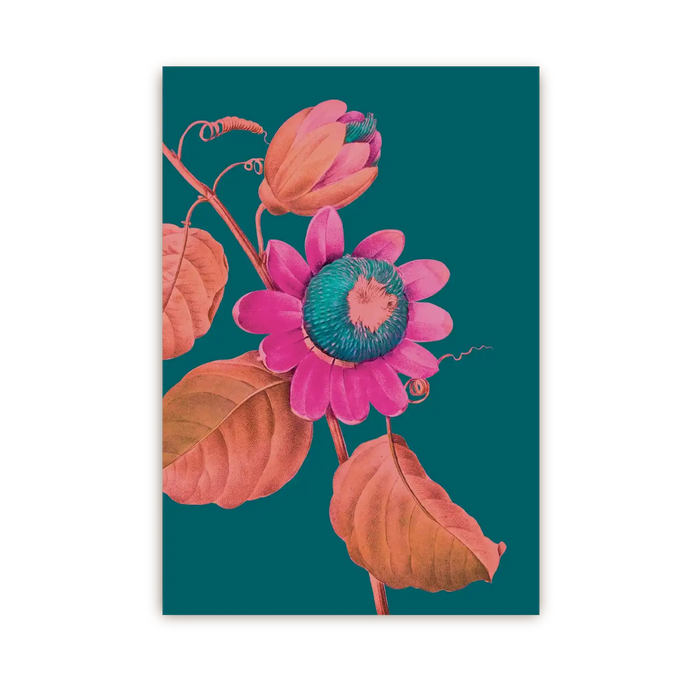 Postkarte / Kew Gardens / Passion Flower
