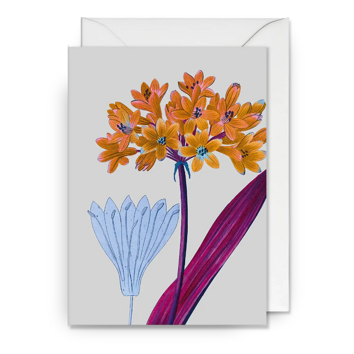 Klappkarte / Kew Gardens /  Yellow Corn Lilies Greeting Card
