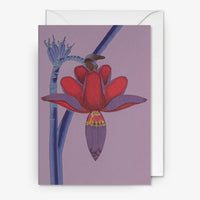 Klappkarte-mit-Umschlag-Format-A6-109x155mm-Designer-Kew-Gardens-Motiv-Insall_Banana_Flower
