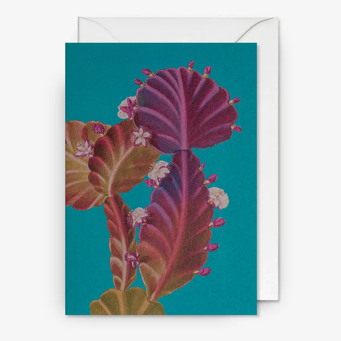 Klappkarte-mit-Umschlag-Format-A6-109x155mm-Designer-Kew-Gardens-Motiv-Temperate-_Rhipsalis-Pachyptera-Cactus