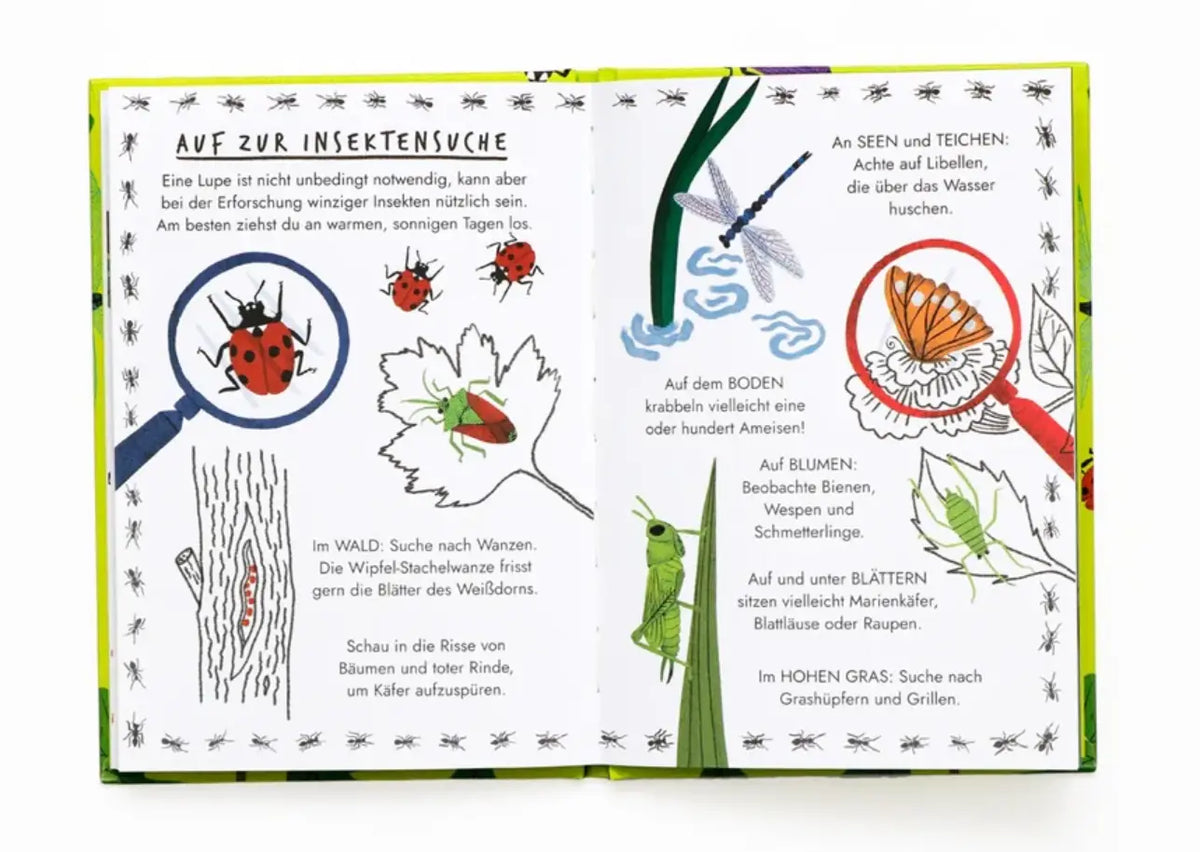 LAurence-KIing-verlag-Nina-Chakrabarti-Hallo-Insekten-Ein-kleiner-Naturfuehrer-Buch-inhalt-1