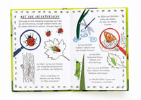 LAurence-KIing-verlag-Nina-Chakrabarti-Hallo-Insekten-Ein-kleiner-Naturfuehrer-Buch-inhalt-1