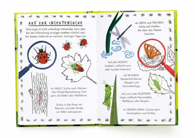 LAurence-KIing-verlag-Nina-Chakrabarti-Hallo-Insekten-Ein-kleiner-Naturfuehrer-Buch-inhalt-1