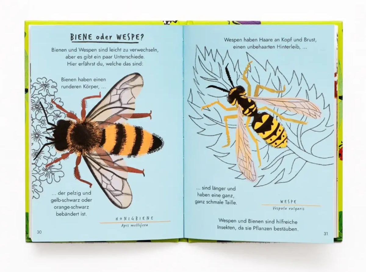 LAurence-KIing-verlag-Nina-Chakrabarti-Hallo-Insekten-Ein-kleiner-Naturfuehrer-Buch-inhalt-2