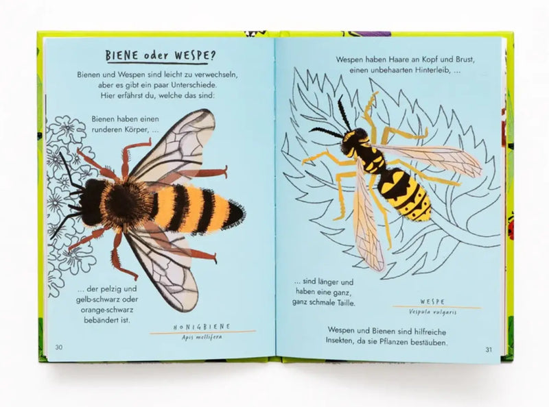 LAurence-KIing-verlag-Nina-Chakrabarti-Hallo-Insekten-Ein-kleiner-Naturfuehrer-Buch-inhalt-2