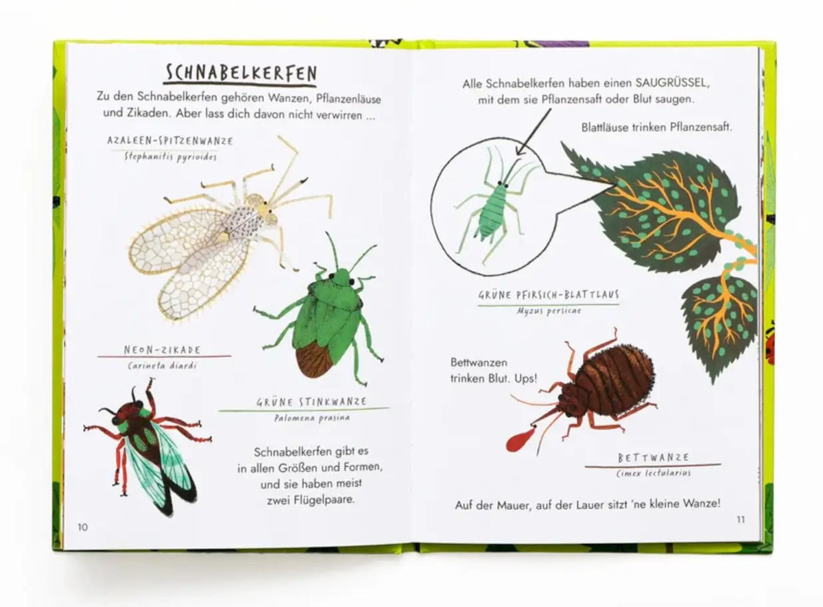 LAurence-KIing-verlag-Nina-Chakrabarti-Hallo-Insekten-Ein-kleiner-Naturfuehrer-Buch-inhalt-3