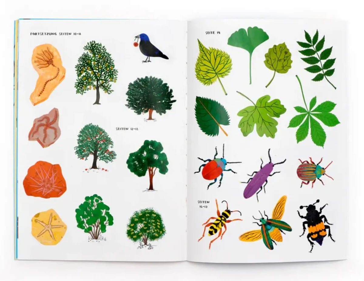 Nina Chakrabarti / Hallo Sommer! /Ein Stickerbuch mit vielen Outdoor-Aktivitäten