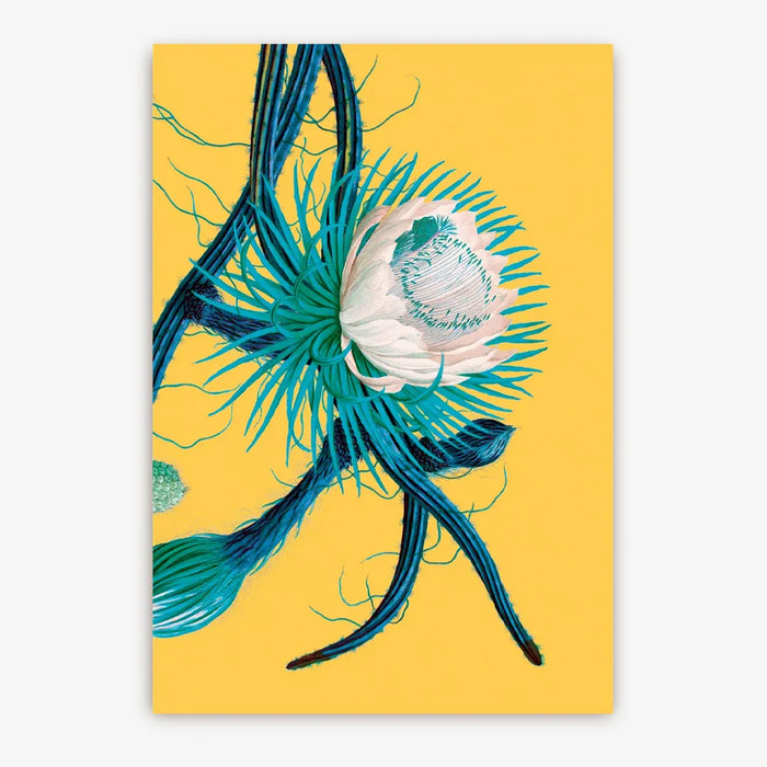 Lagom-Postkarten-Kew-Gardens-A6-Botanisch-Cereus-Flower