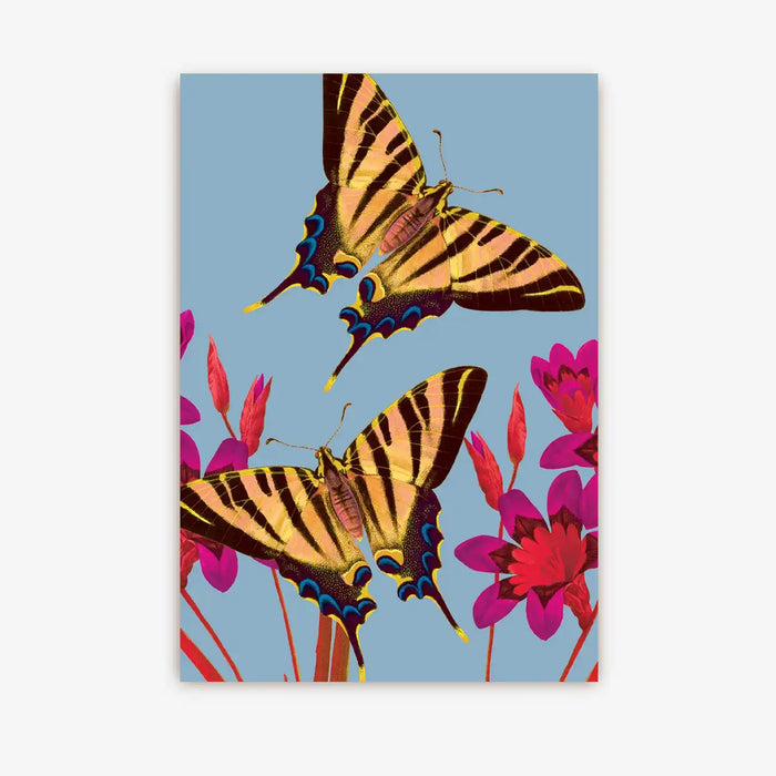 Lagom-Postkarten-Kew-Gardens-A6-Botanisch-Ixia-Butterfly
