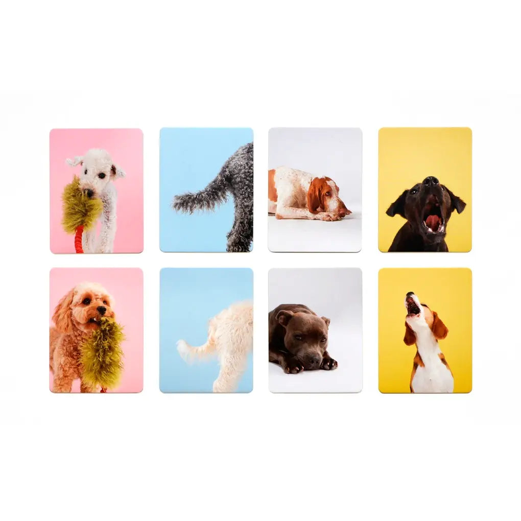 Memospiel-Laurence-king-verlag-Memo-Spiel_-Hundesprache_-Verstehst-du-deinen-Hund-ab-6Jahren-Inhalt2