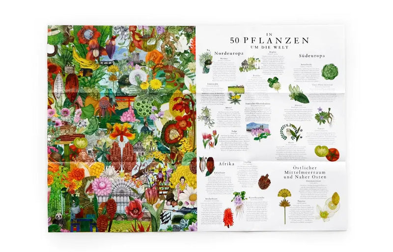 Laurence King Verlag /  In 50 Pflanzen um die Welt