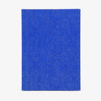 Leporello-Format-12x17cm-fuer-14Fotos-mit-Chiyogami-Traditional-Haifischhaut-silber-auf-blau-Produktansicht-Cover-Vorn