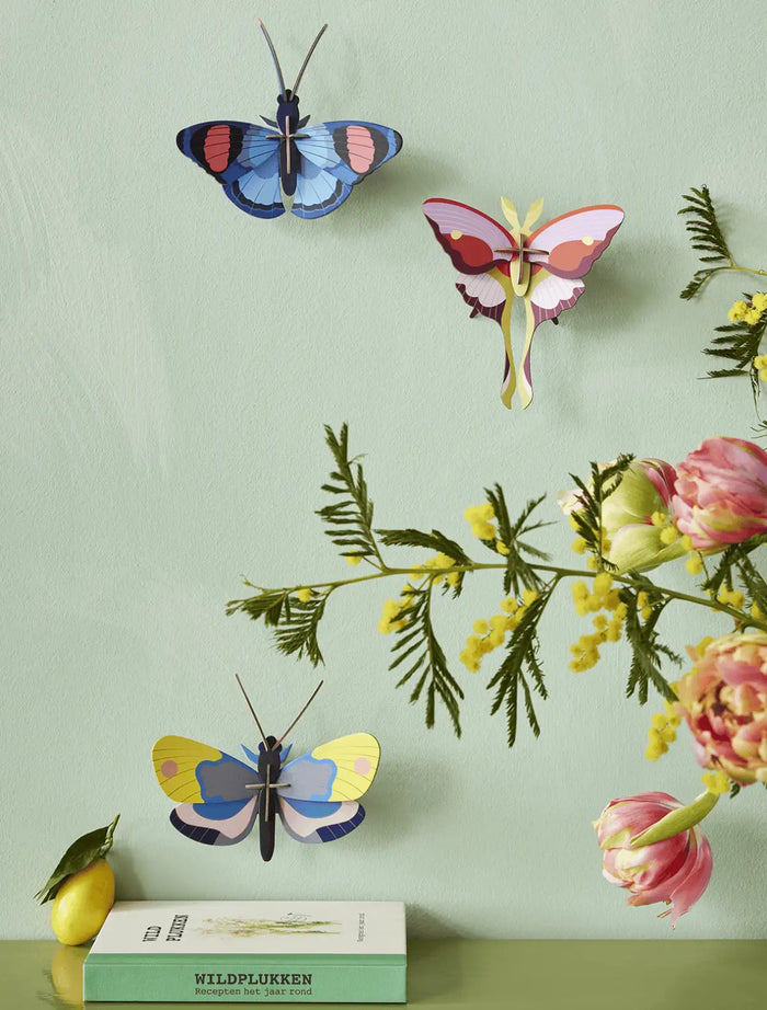 Lilac-Comet-Butterfly-Papier-3d-object-aufgebaut-mit-anderen-schmetterlingen-an-der-wand