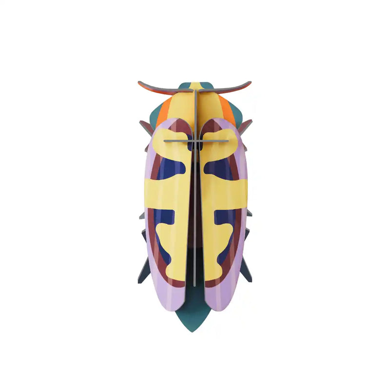 Small Insects / Mango Flower Beetle