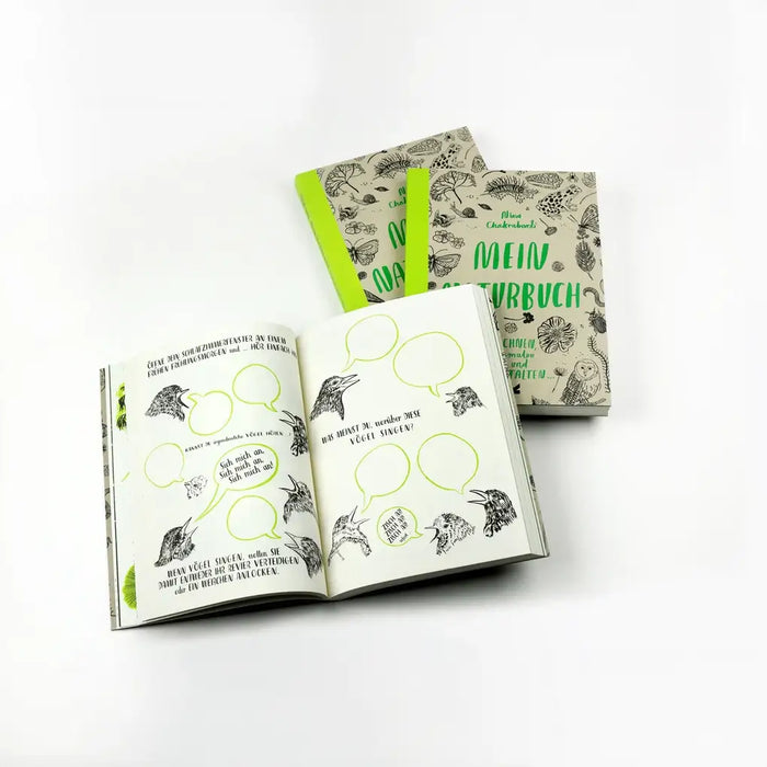 Mein Naturbuch / Zeichnen, ausmalen und gestalten / L. King Verlag