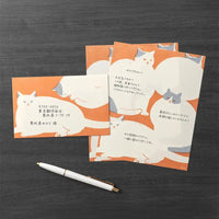 Midori-Briefumschlag-Set-Katzen-8-Stueck-japanisches-Briefpapier-umschlaege-und-Briefpapier