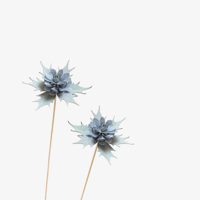 Papierblume / Chardon
