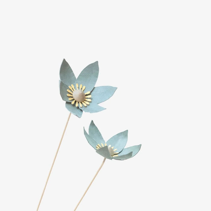 Papierblume / Fritilaire Tee-Vert