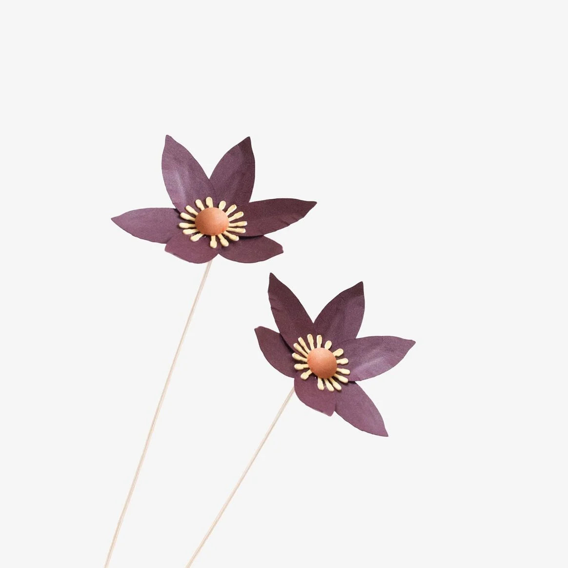 Papierblume / Fritilaire Cassis