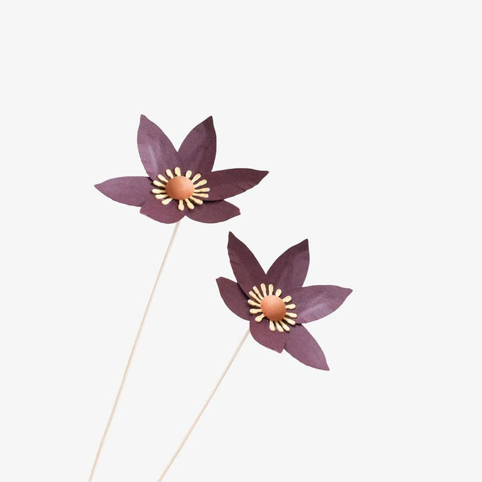 Papierblume / Fritilaire Cassis