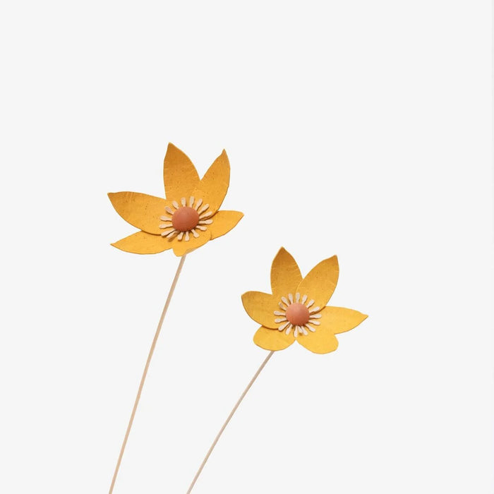 Papierblume / Fritilaire Senf