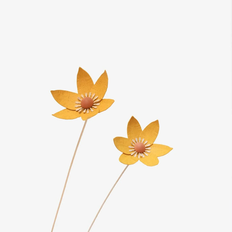 Papierblume / Fritilaire Senf