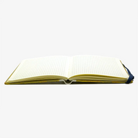 Notizbuch-kariert-12x16.5cm-Cover-Chiyogami-Motiv-Saitenspiel-Gold-aufgeschlagen