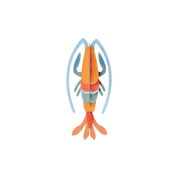 Pomelo Shrimp / 3D Objekt / Sea Animals