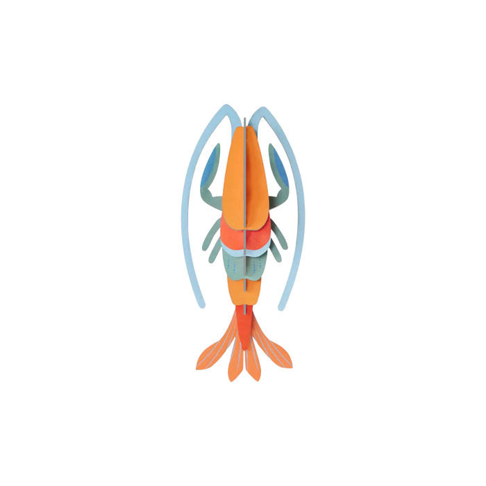 Pomelo Shrimp / 3D Objekt / Sea Animals