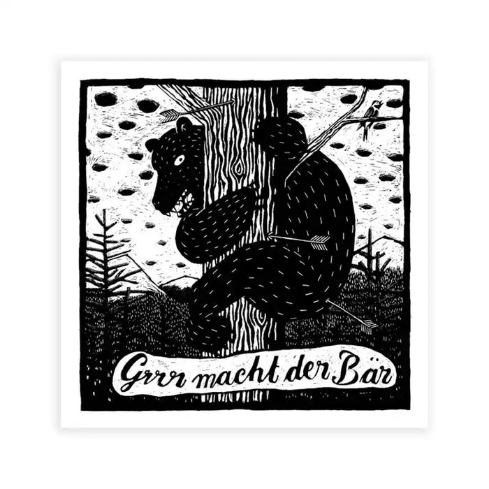 Phillip-Janta-Tierbilder-Prints-23x23cm-Baer