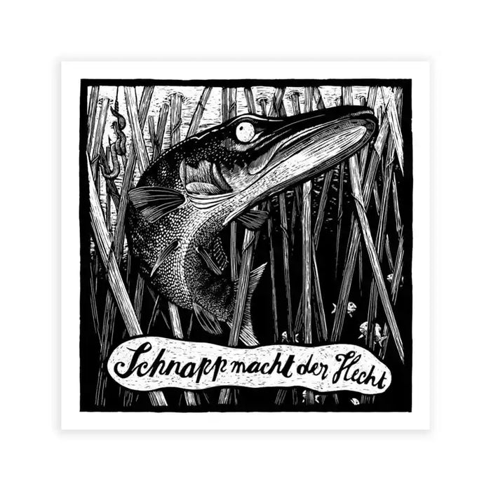 Tierbilder / Hecht / 23,5 x 23,5cm