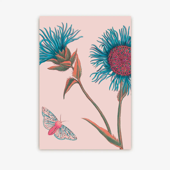 Postkarte / Kew Gardens / Butterfly and Blooms