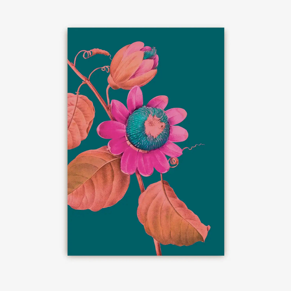 Postkarte-Lagom-Format-A6-Motiv-Kew-Gardens-Passion-Flower