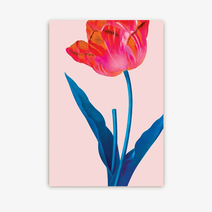 Postkarte-Lagom-Format-A6-Motiv-Kew-Gardens-Pink-Tulip