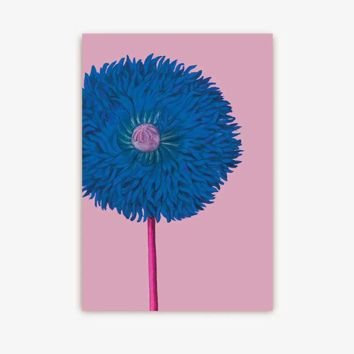 Postkarte / Kew Gardens / Poppy Floral