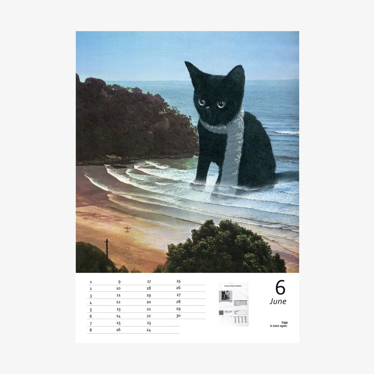 Stray-Immerwaehrender-Kalender-A4-12-Kalenderblaetter-1-Deckblatt-Spiralgebunden-Cover-vorn-Juni-3
