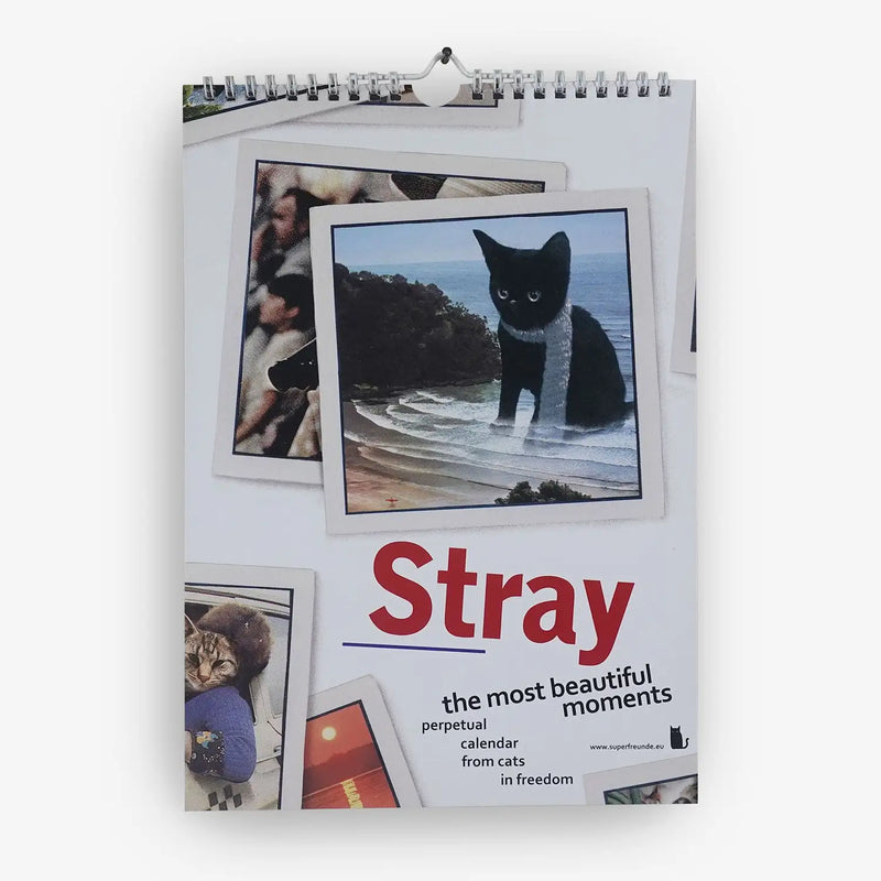 Stray-Immerwaehrender-Kalender-A4-12-Kalenderblaetter-1-Deckblatt-Spiralgebunden-Cover-vorn