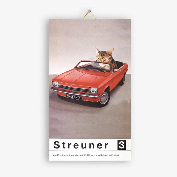 Streuner-Teil3-Postkartenkalender-_Format-A6-13Postkarte-Cover-vorn