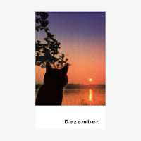 Streuner-Teil4-Postkartenkalender-_Format-A6-13Postkarte-Cover-vorn-Dezember