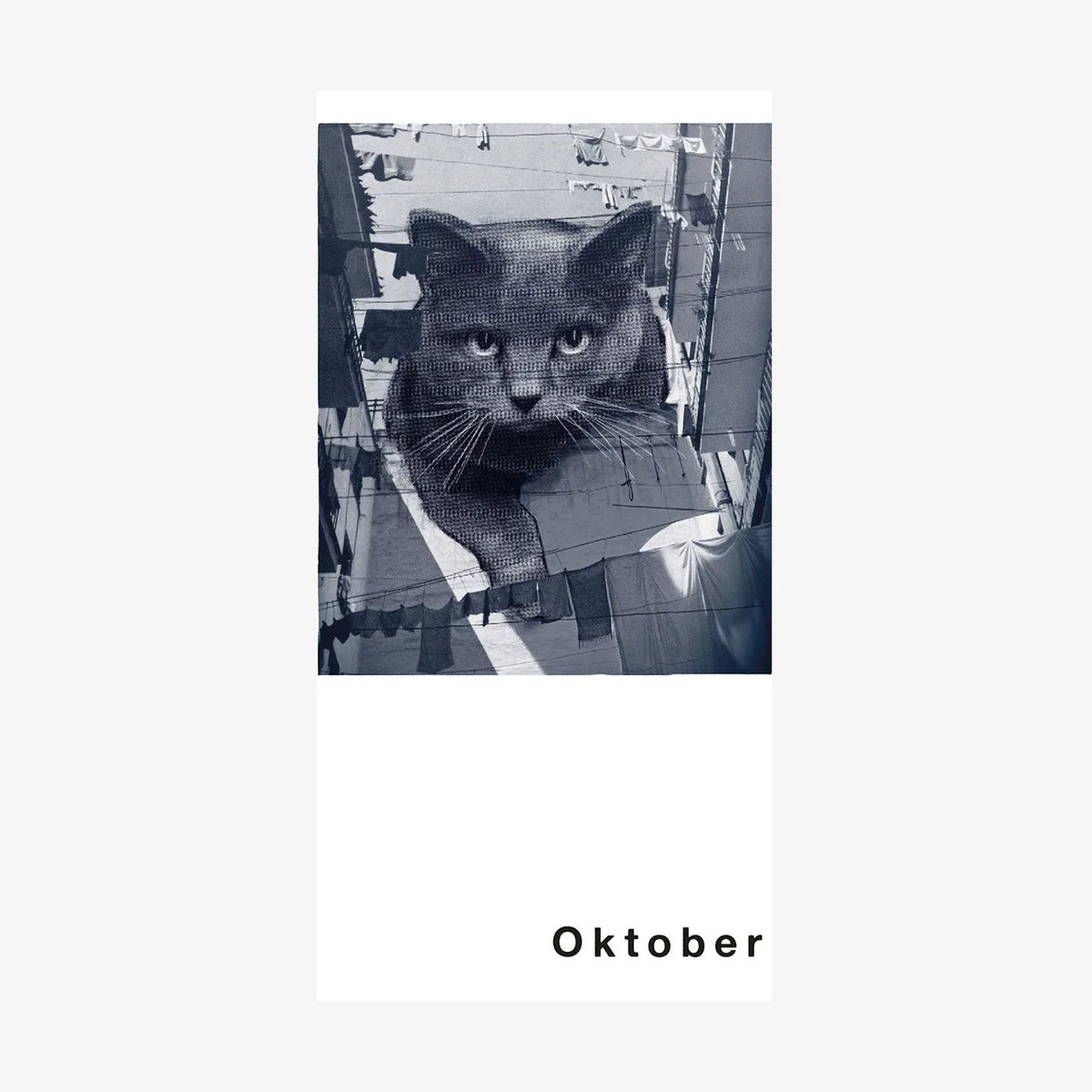 Streuner-Teil4-Postkartenkalender-_Format-A6-13Postkarte-Cover-vorn-Oktober-3