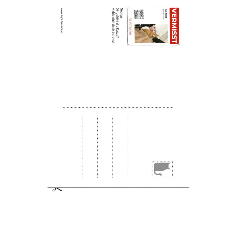 Streuner-Teil6-Postkartenkalender-_Format-A6-13Postkarte-Cover-vorn-Rueckseite-2