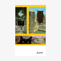 Streuner-Teil6-Postkartenkalender-_Format-A6-13Postkarte-Cover-vorn-juni-5