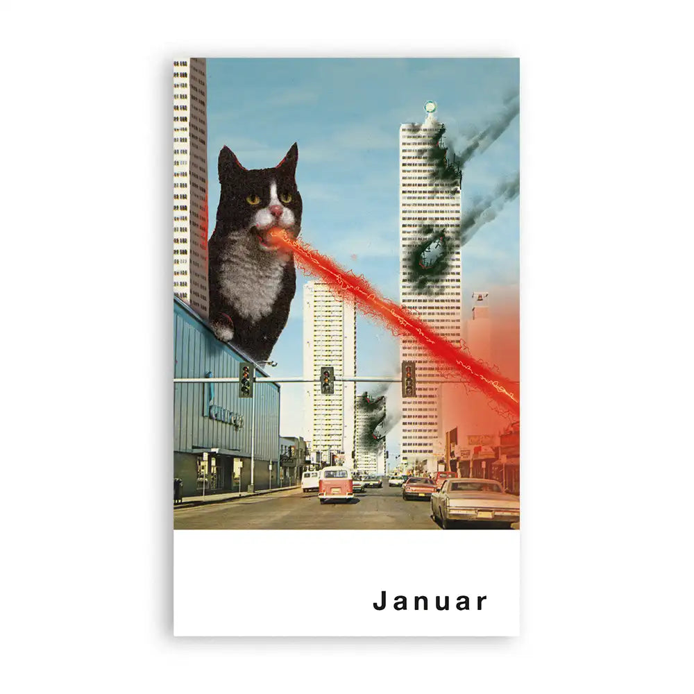 StreunerTeil3Postkartenkalender_Superfreunde_Januar