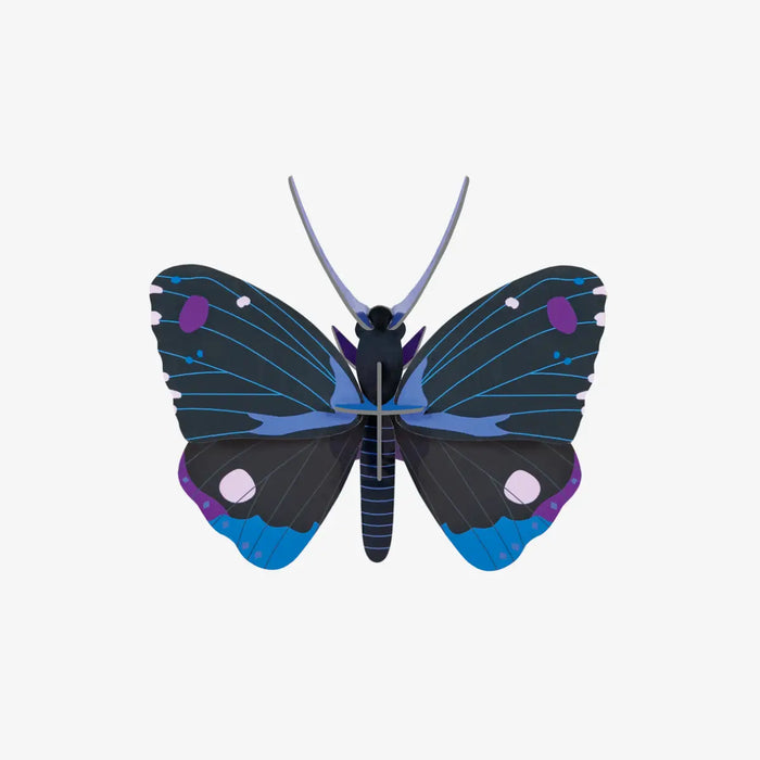 Studio-Roof-Blue-Diadem-Butterfly-3D-Schmetterling-Aufgebaut-aus-Karton-Produktansicht-1