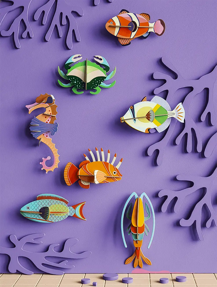 Lagoon Triggerfish  / 3D Objekt / 3D Meerestiere für die Wand