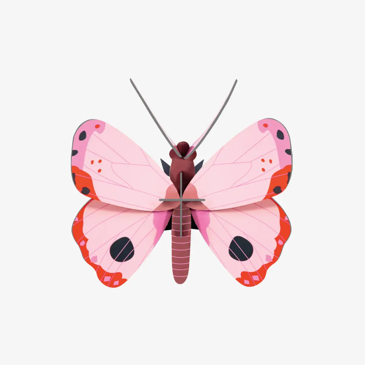 Studio-Roof-Rosora-Butterfly-3D-Schmetterling-Aufgebaut-aus-Karton-Produktansicht-1