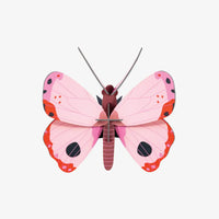 Studio-Roof-Rosora-Butterfly-3D-Schmetterling-Aufgebaut-aus-Karton-Produktansicht-1