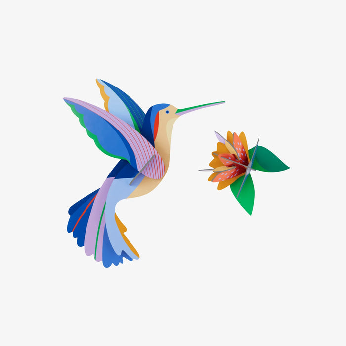 Vögel / Hummingbird