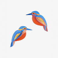 Vögel / Kingfishers