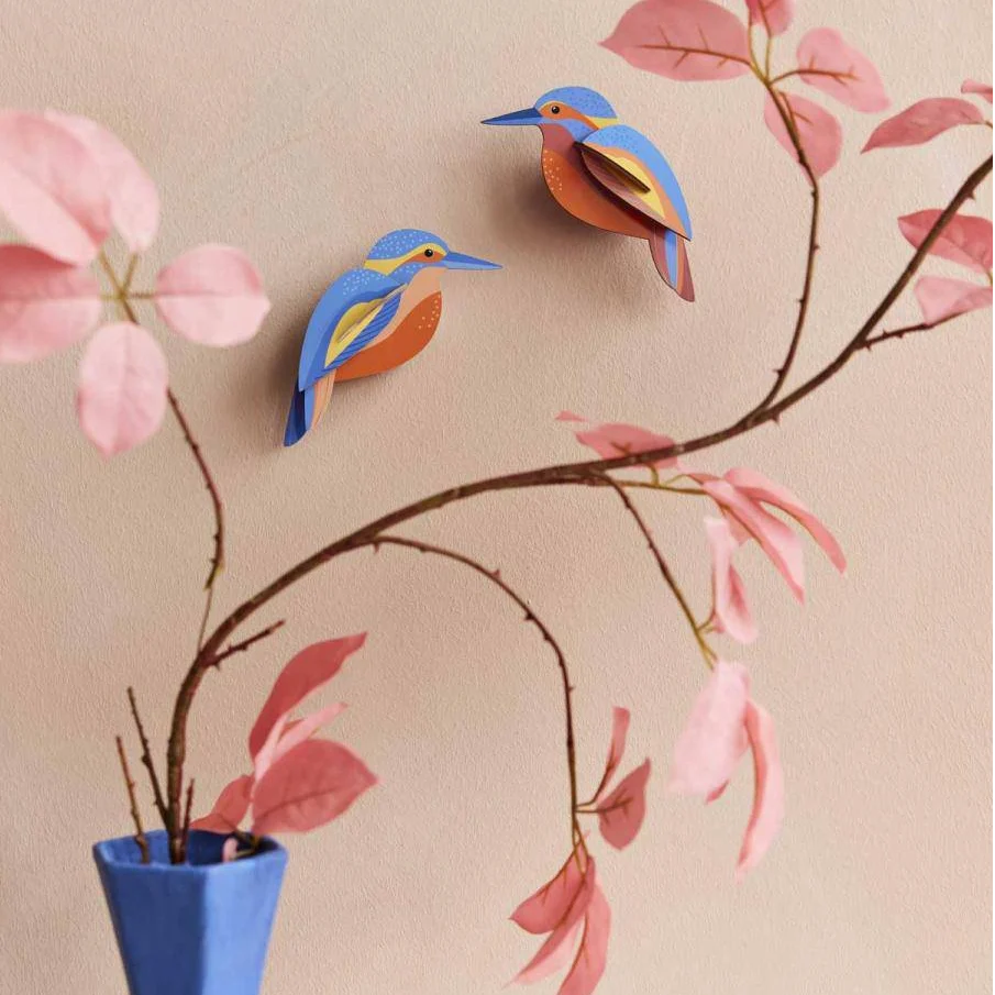 Vögel / Kingfishers